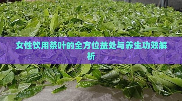 女性饮用茶叶的全方位益处与养生功效解析