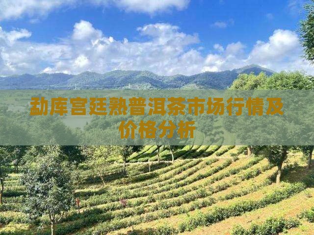 勐库宫廷熟普洱茶市场行情及价格分析