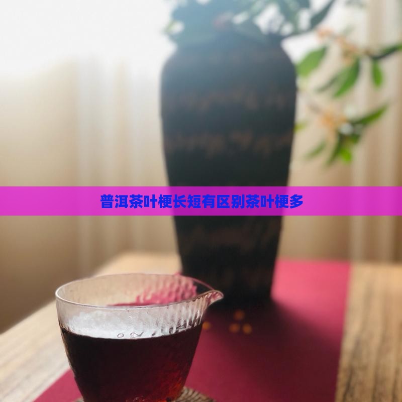 普洱茶叶梗长短有区别茶叶梗多