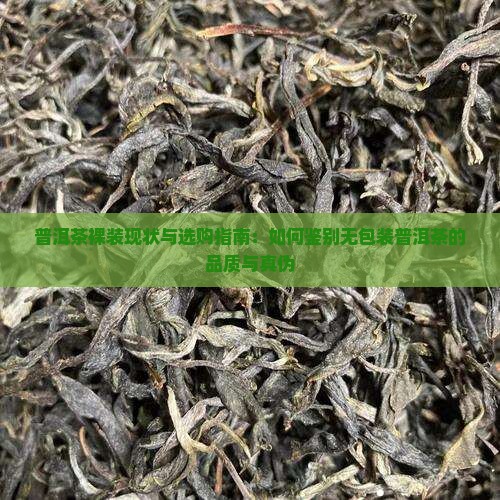 普洱茶裸装现状与选购指南：如何鉴别无包装普洱茶的品质与真伪
