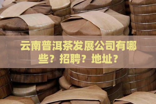 云南普洱茶发展公司有哪些？招聘？地址？