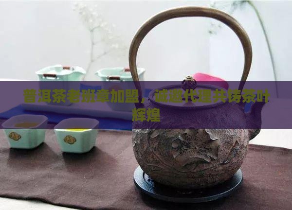 普洱茶老班章加盟，诚邀代理共铸茶叶辉煌