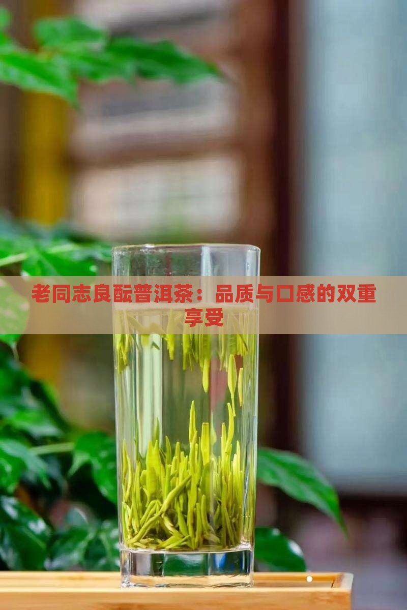 老同志良酝普洱茶：品质与口感的双重享受
