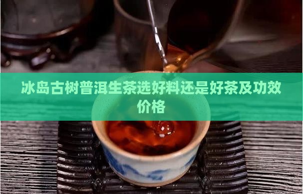 冰岛古树普洱生茶选好料还是好茶及功效价格