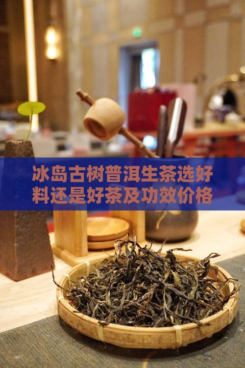 冰岛古树普洱生茶选好料还是好茶及功效价格