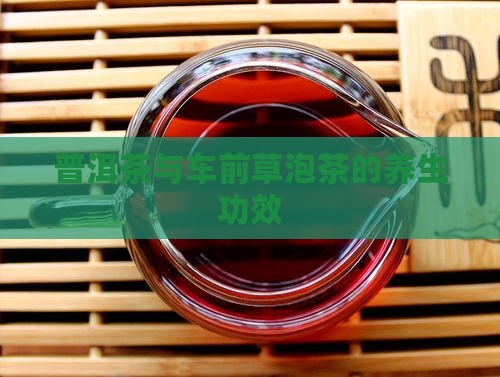 普洱茶与车前草泡茶的养生功效