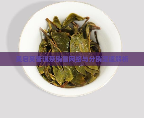 吴启英普洱茶销售网络与分销渠道解析