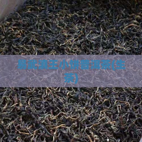 易武滇王小饼普洱茶(生茶)