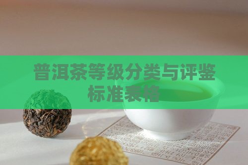 普洱茶等级分类与评鉴标准表格