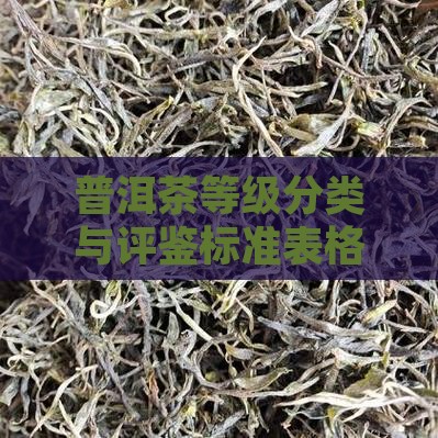 普洱茶等级分类与评鉴标准表格