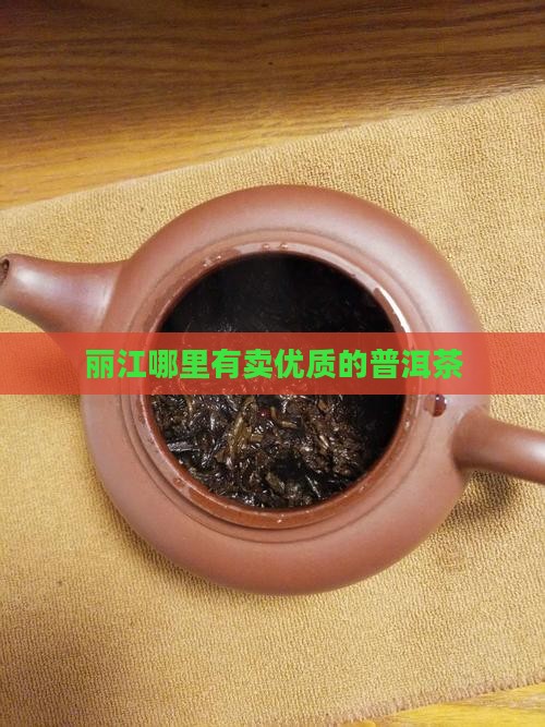 丽江哪里有卖优质的普洱茶