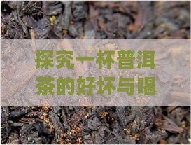 探究一杯普洱茶的好坏与喝茶体验