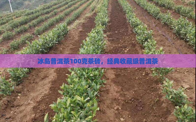 冰岛普洱茶100克茶砖,经典收藏级普洱茶 冰岛普洱茶100克茶砖,经典收藏级普洱茶