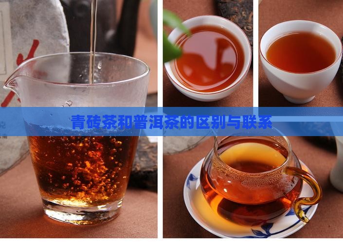 青砖茶和普洱茶的区别与联系