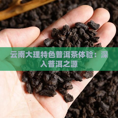 云南大理特色普洱茶体验：深入普洱之源