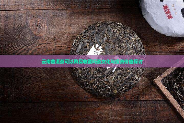 云南普洱茶可以购买收藏吗茶文化与投资价值探讨