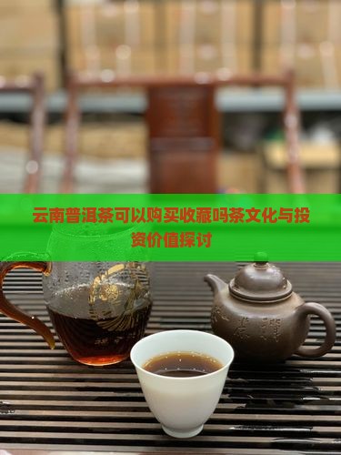云南普洱茶可以购买收藏吗茶文化与投资价值探讨