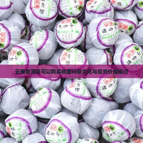 云南普洱茶可以购买收藏吗茶文化与投资价值探讨