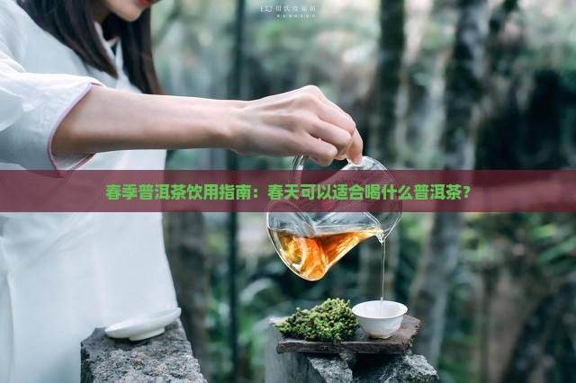 春季普洱茶饮用指南：春天可以适合喝什么普洱茶？