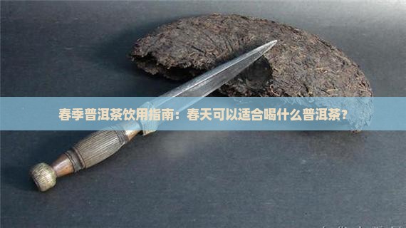 春季普洱茶饮用指南：春天可以适合喝什么普洱茶？