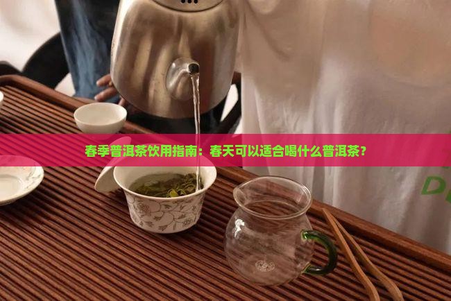 春季普洱茶饮用指南：春天可以适合喝什么普洱茶？