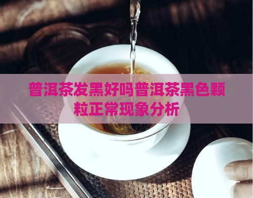普洱茶发黑好吗普洱茶黑色颗粒正常现象分析
