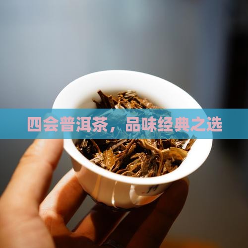 四会普洱茶，品味经典之选