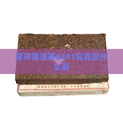 探寻普洱茶6381究竟是什么茶