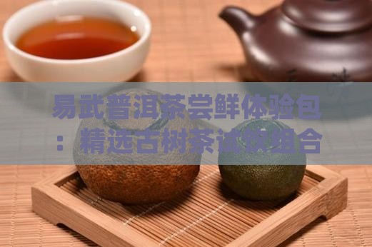 易武普洱茶尝鲜体验包：精选古树茶试饮组合