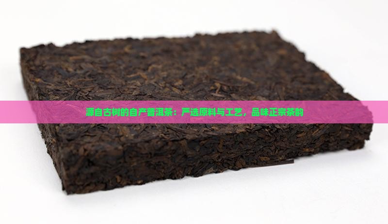 源自古树的自产普洱茶：严选原料与工艺，品味正宗茶韵