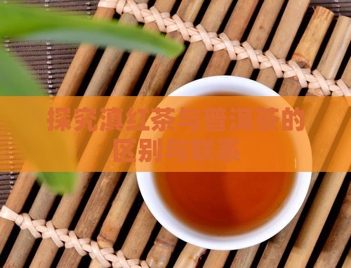 探究滇红茶与普洱茶的区别与联系