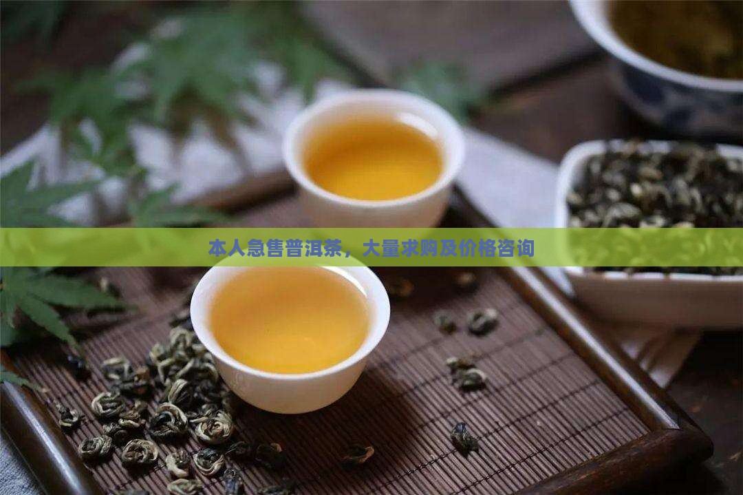 本人急售普洱茶，大量求购及价格咨询