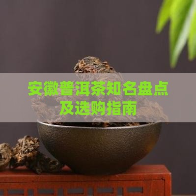 安徽普洱茶知名盘点及选购指南