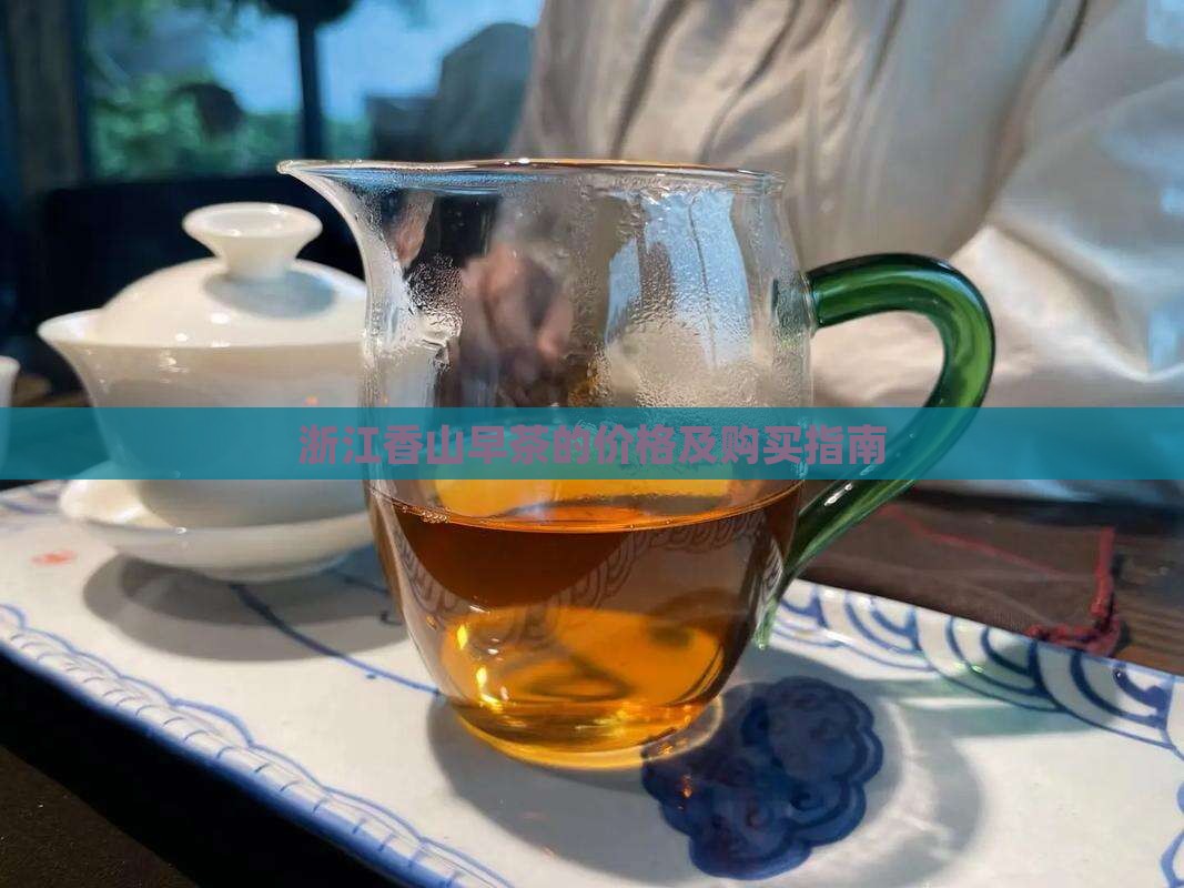 浙江香山早茶的价格及购买指南