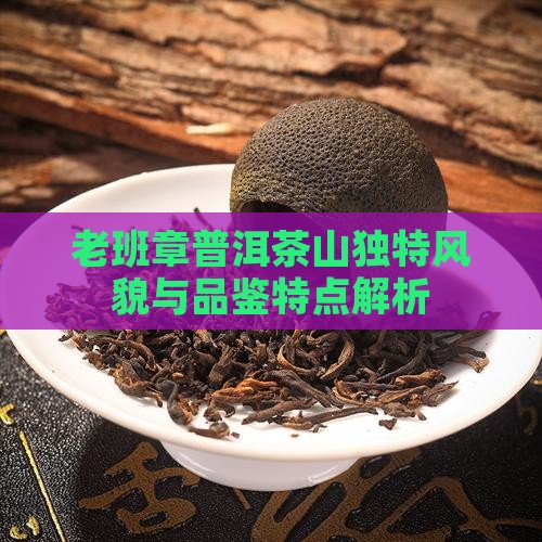 老班章普洱茶山独特风貌与品鉴特点解析
