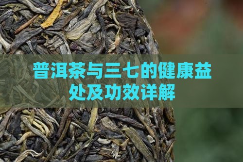 普洱茶与三七的健康益处及功效详解