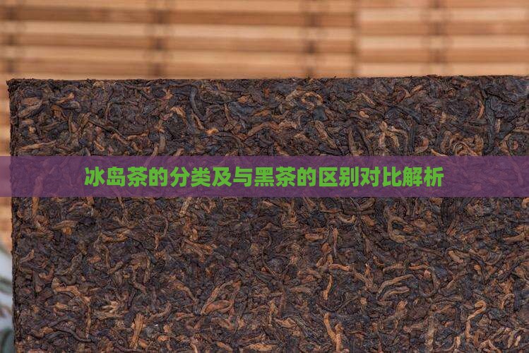 冰岛茶的分类及与黑茶的区别对比解析