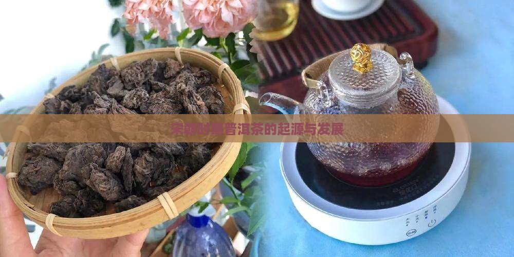 宋朝时期普洱茶的起源与发展