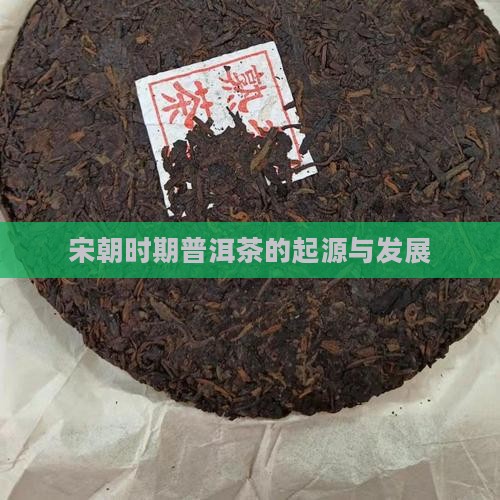宋朝时期普洱茶的起源与发展