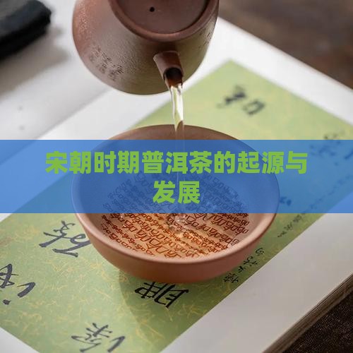 宋朝时期普洱茶的起源与发展