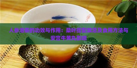 人参泡茶的功效与作用：桑叶搭配禁忌及食用方法与安宫牛黄丸影响