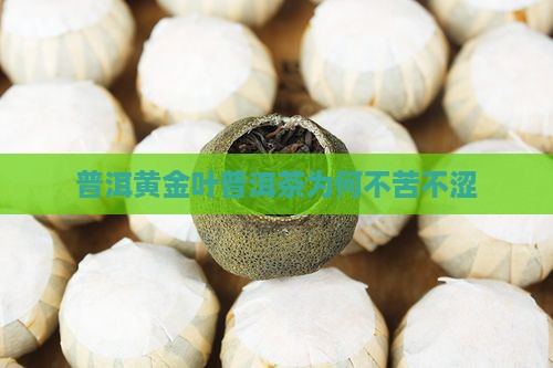 普洱黄金叶普洱茶为何不苦不涩