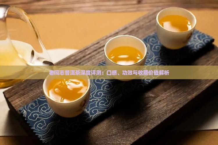 老同志普洱茶深度评测：口感、功效与收藏价值解析