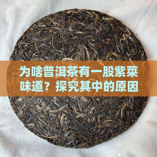 为啥普洱茶有一股紫菜味道？探究其中的原因