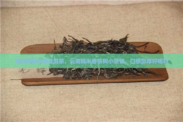 老茶树糯米香普洱茶，云南糯米香茶树小茶饼，口感醇厚好喝吗