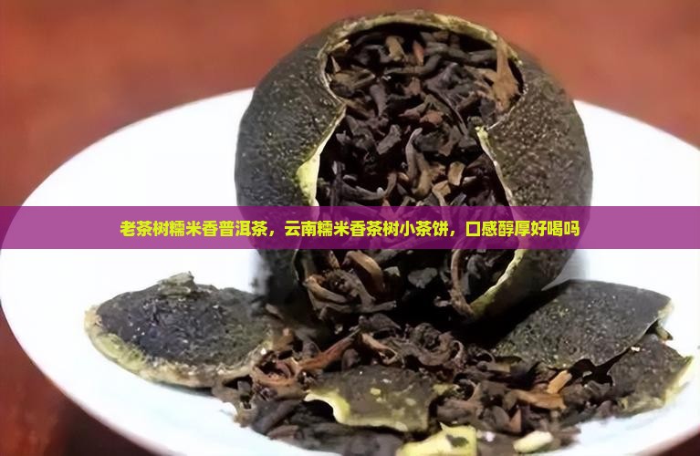 老茶树糯米香普洱茶，云南糯米香茶树小茶饼，口感醇厚好喝吗