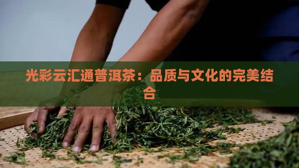 光彩云汇通普洱茶：品质与文化的完美结合
