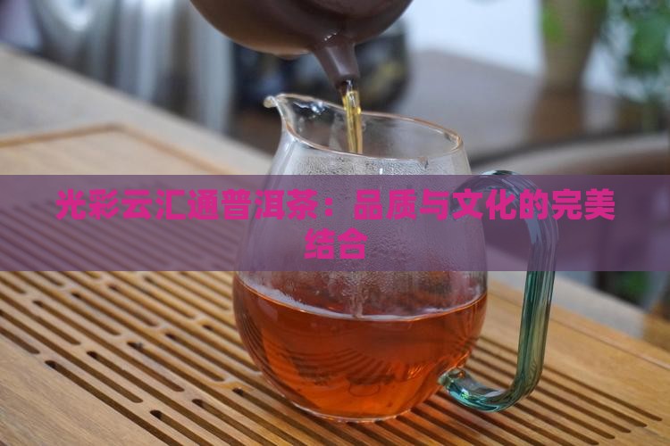 光彩云汇通普洱茶：品质与文化的完美结合