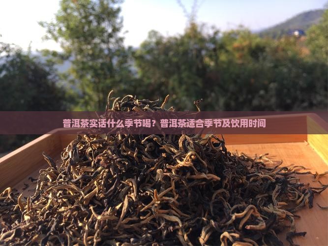 普洱茶实话什么季节喝？普洱茶适合季节及饮用时间