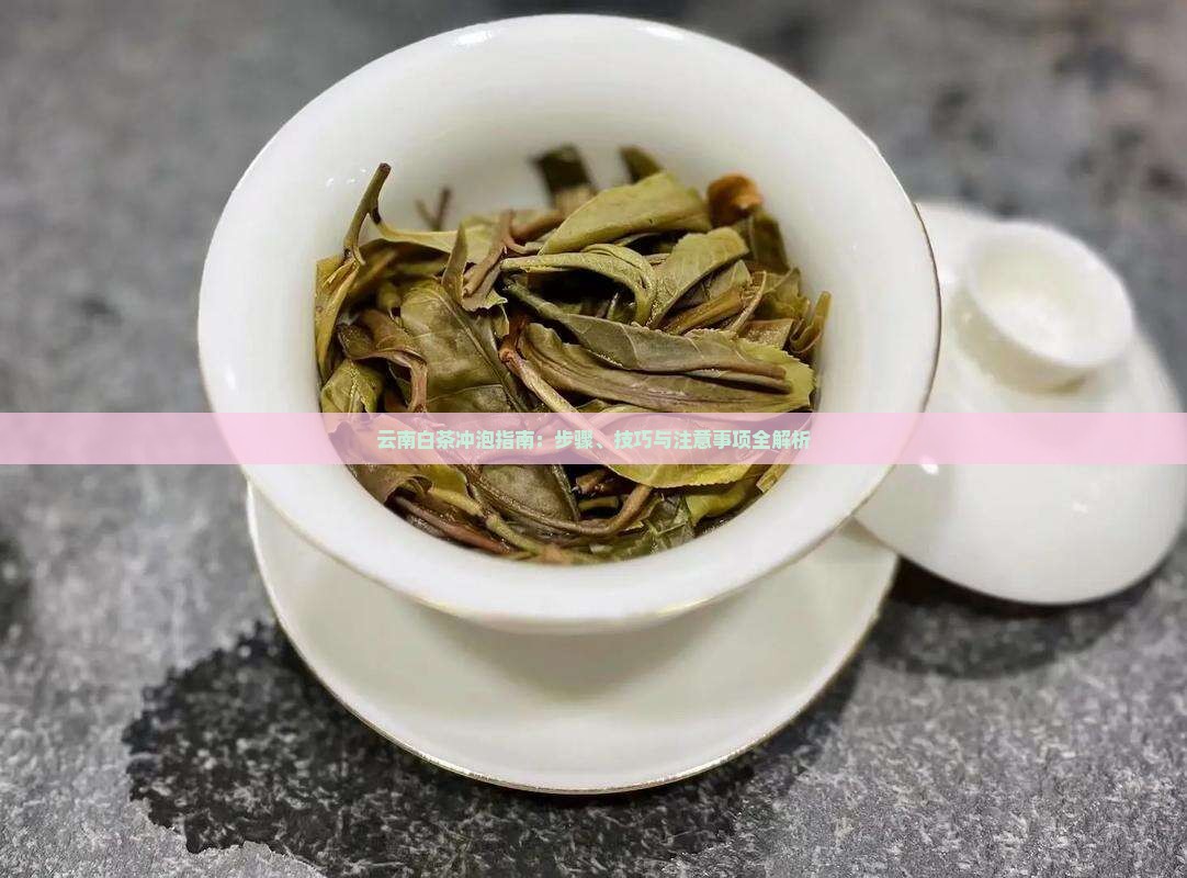云南白茶冲泡指南:步骤、技巧与注意事项全解析 云南白茶冲泡指南:步骤、技巧与注意事项全解析